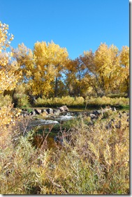 Fall Beauty! 064