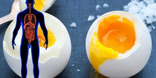 5 cosas que pasan en su cuerpo cuando usted come huevos que tal vez no sabía