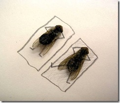 image001