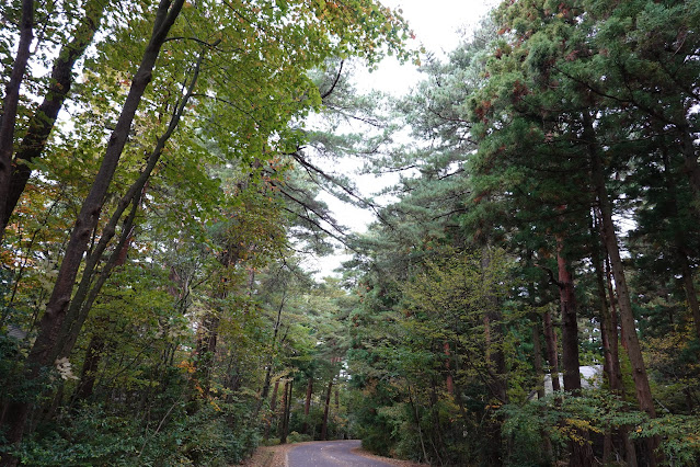 鳥取県西伯郡伯耆町丸山　ロイヤルシティ大山　赤松の森