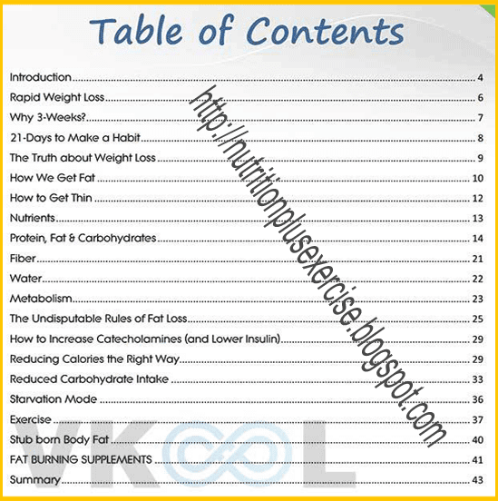 3-Week-Diet-Program-table-of-contents