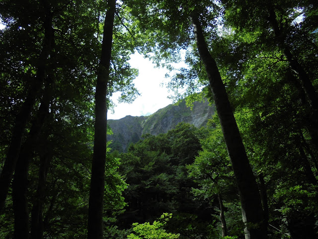 大山の美しい風景