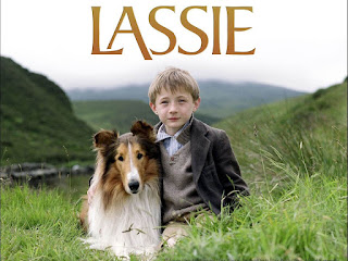 Lassie - concurso SEO el perro arcoiris sonrie en CICE