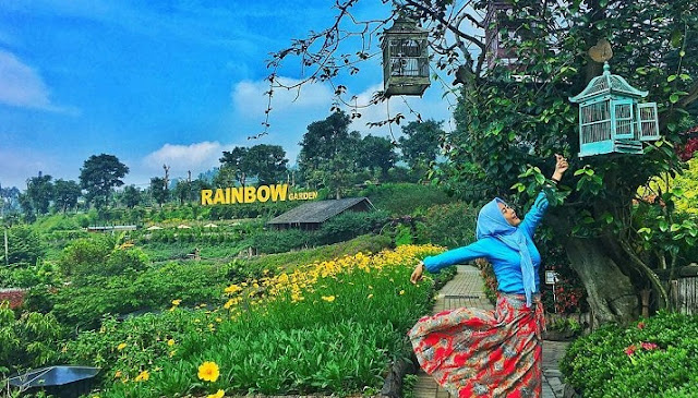 rainbow garden floating market