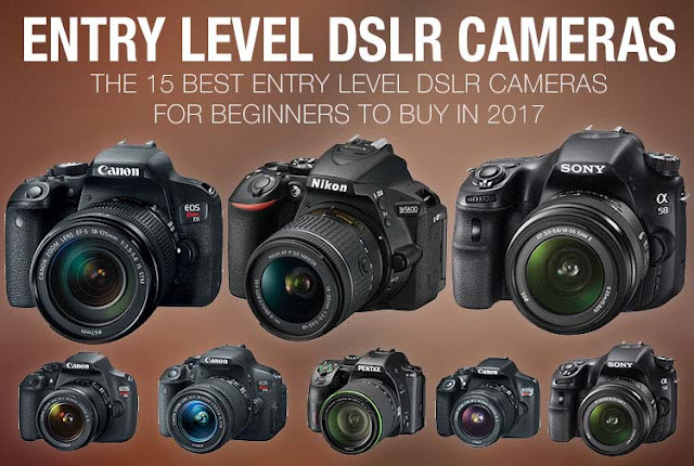 The-Best-Entry-Level-DSLR-Cameras-for-Beginners_Rasha-Design