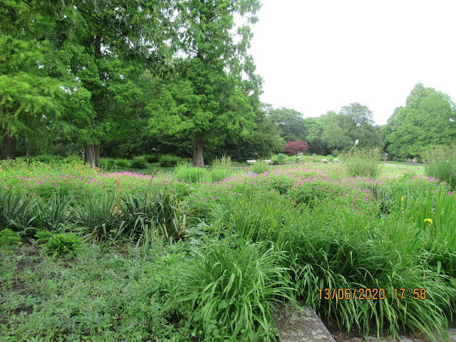 Planten un Blomen Park in Hamburg