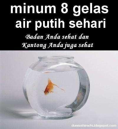 Tips Sehat Dengan Minum Air Putih ZONA MENARIK