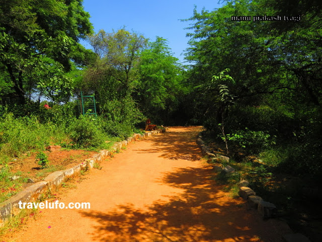 sanjay van delhi