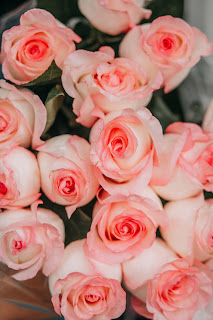 rose flower bouquet