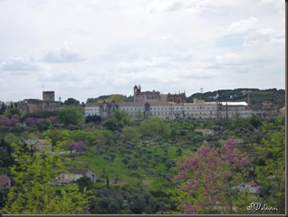 P1060904
