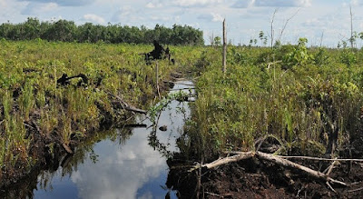 Yuk Cegah Kebakaran Hutan dan Lahan Gambut