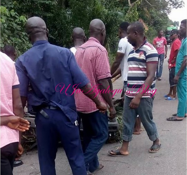 N50 Million Paid For Funeral Rite of Killed Crocodile By Agip In Delta State