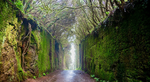 Tenerife: Parque Rural de Anaga