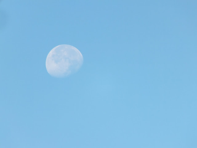 Morning Moon - Still appear in 8 a.m 