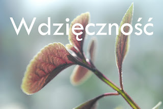 wdzięczność