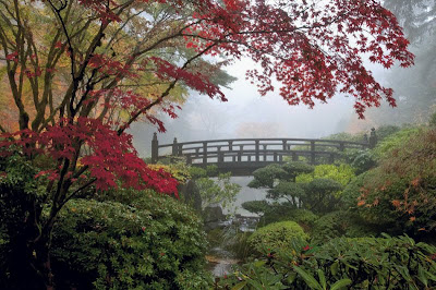 Wonderful garden Geography Seen On www.coolpicturegallery.us