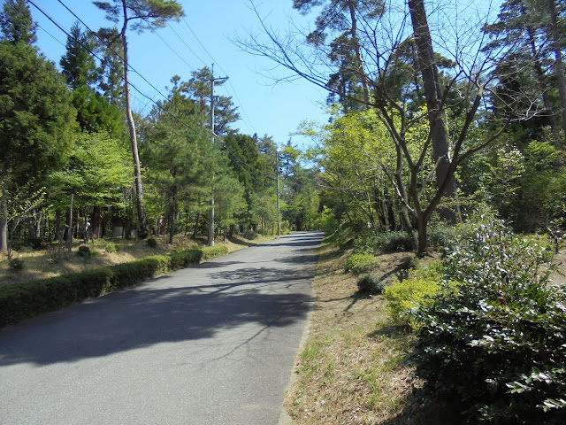 別荘地の美しい道