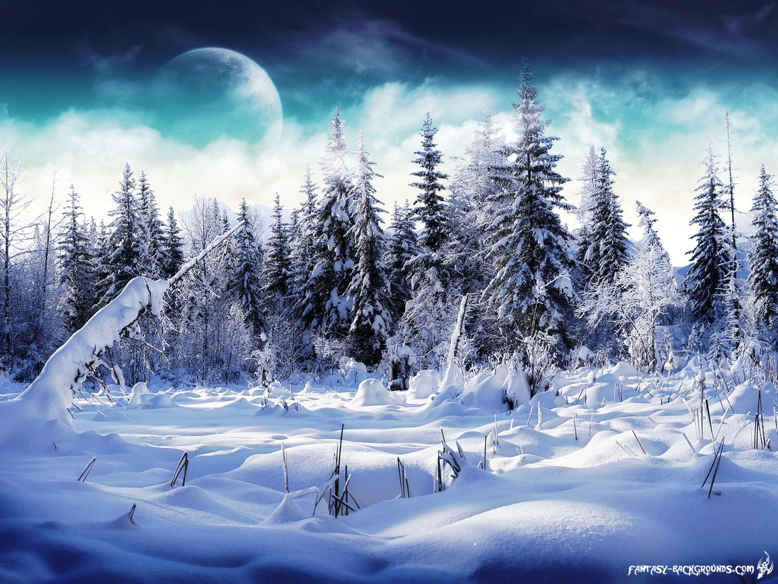 Winter Wonderland *~*