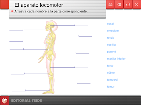 http://www.editorialteide.es/elearning/Primaria.asp?IdJuego=771&IdTipoJuego=2