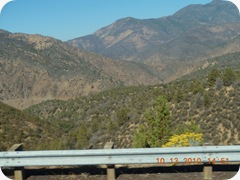 DSCN2249