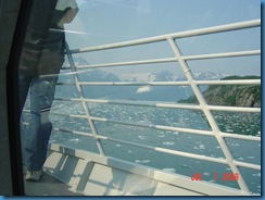 Icebergs!!!