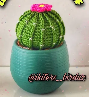 PATRON GRATIS CACTUS AMIGURUMI 66749