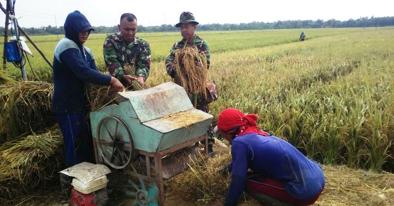 Contoh Berita Budaya Politik - Gontoh