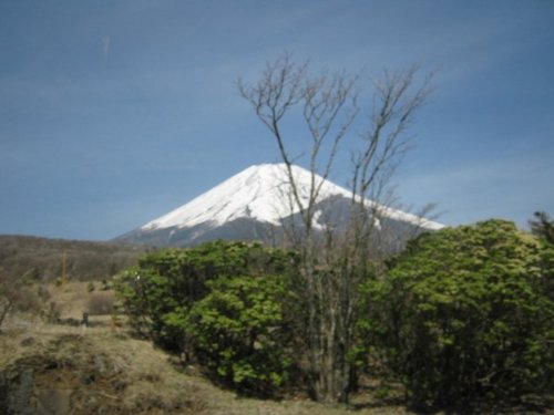 Fuji Safari Park, Japan. A look back.