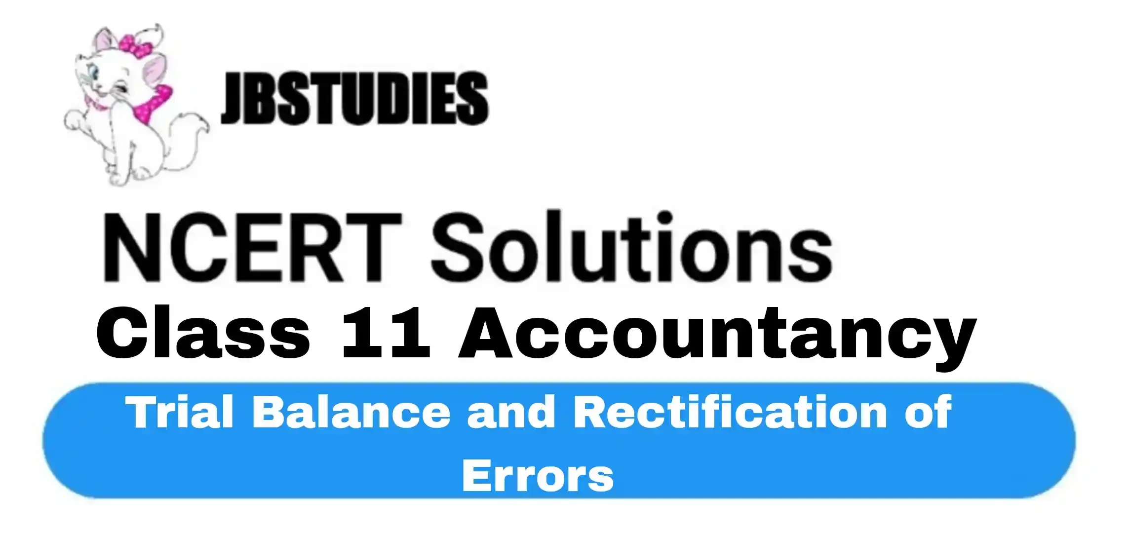 Solutions Class 11 Accountancy Chapter -6 (Trial Balance and Rectification of Errors)