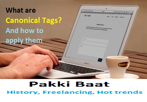 What Is a Canonical Tag and How Can It Help Your SEO?