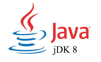 java api (Java Platform)