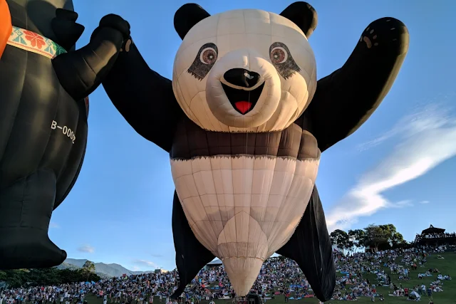 熊貓熱氣球-臺東熱氣球嘉年華