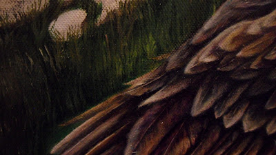 Work in Progress, Colour level 2. Source shows close up of Resting white-tailed eagle wing.