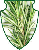 Rosemary Botanical