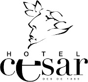 Agraïments (logo hotel )