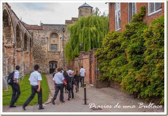 Canterbury-48