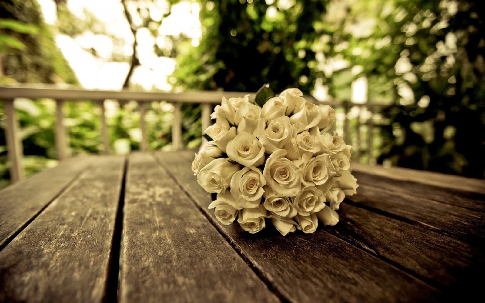 White+Rose+Bouquet+Wallpapers+(4)
