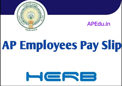 AP Employees Salary Pay Slip - HERB Salary Slip Download Android App.