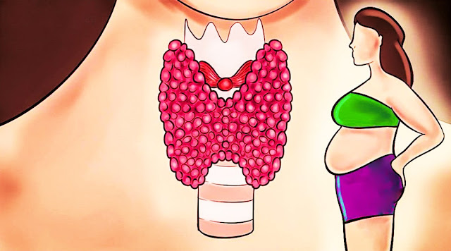 12 Subtle Symptoms Of A Thyroid Problem