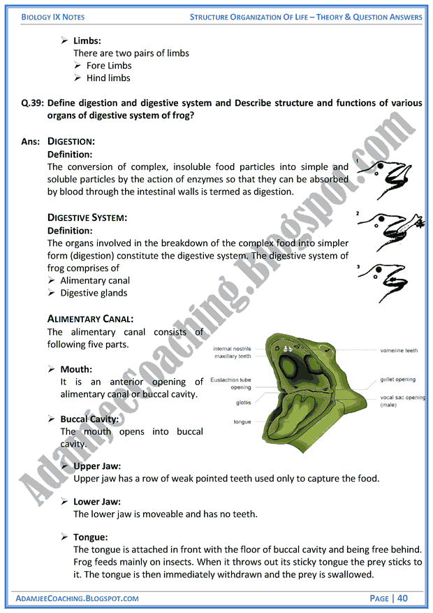 structural-organization-of-life-theory-notes-and-question-answers-biology-notes-for-class-9th