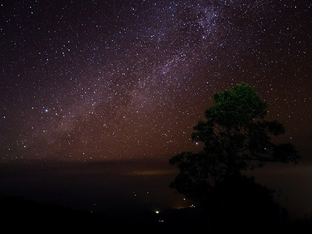 Two-Day Trek at Doi Pha Ngam, trek at doi phan gam, trekking at doi phan gam, 2 days trek at doi phan gam, chiang mai trekking, trekking in chiang mai