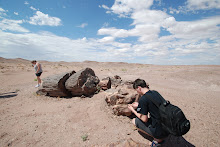 Arizona
