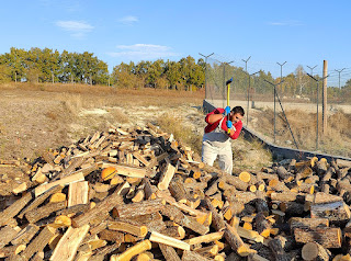 Halil splitting logs. Again.