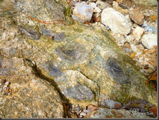 P1180176
