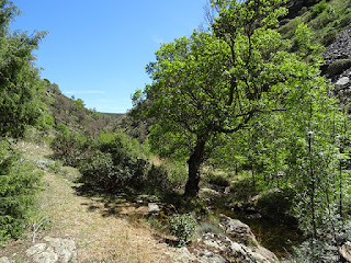 Arroyo de la Hoz