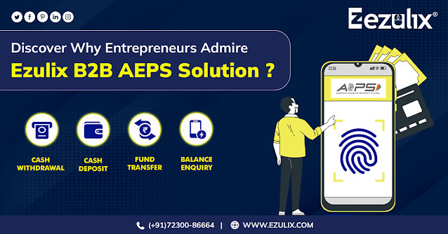 b2b aeps solution