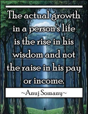 Best Quotes By Anuj Somany