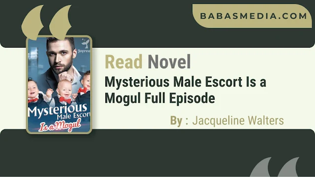 Cover Mysterious Male Escort Is a Mogul Novel By Jacqueline Walters