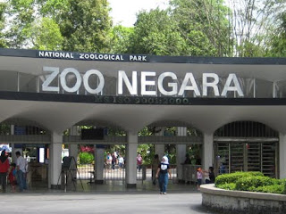 SAM : Pengurusan Zoo Di Malaysia Abai Undang-undang Pelihara Hidupan Liar