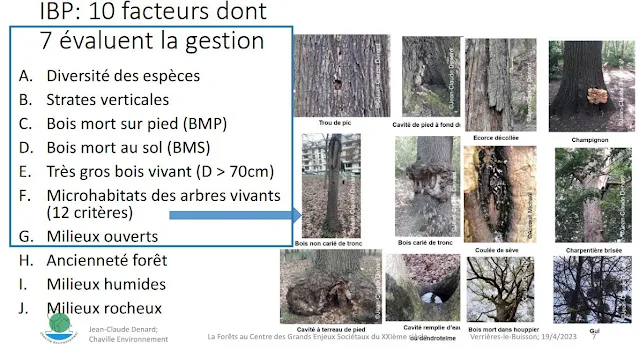 Indices IBP-Conférence JC Denard "La forêt au centre des grands enjeux du 21e S"